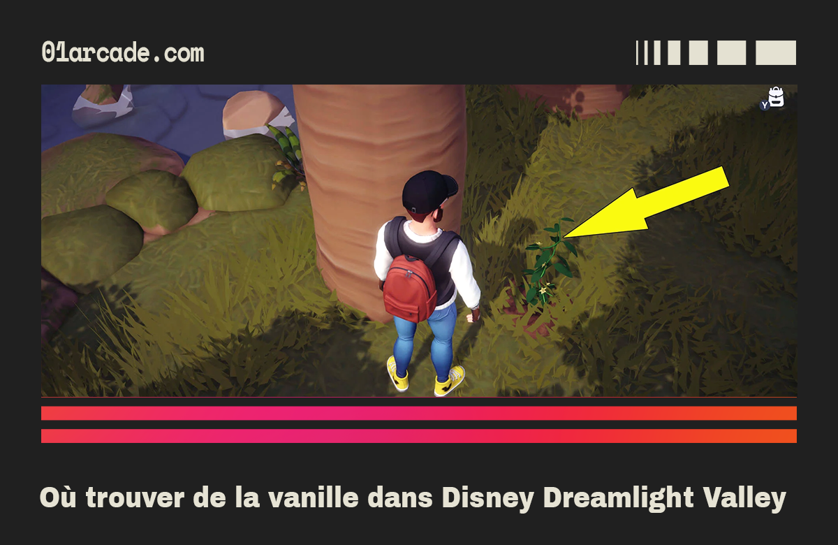 Où trouver de la vanille de qualité dans Disney Dreamlight Valley