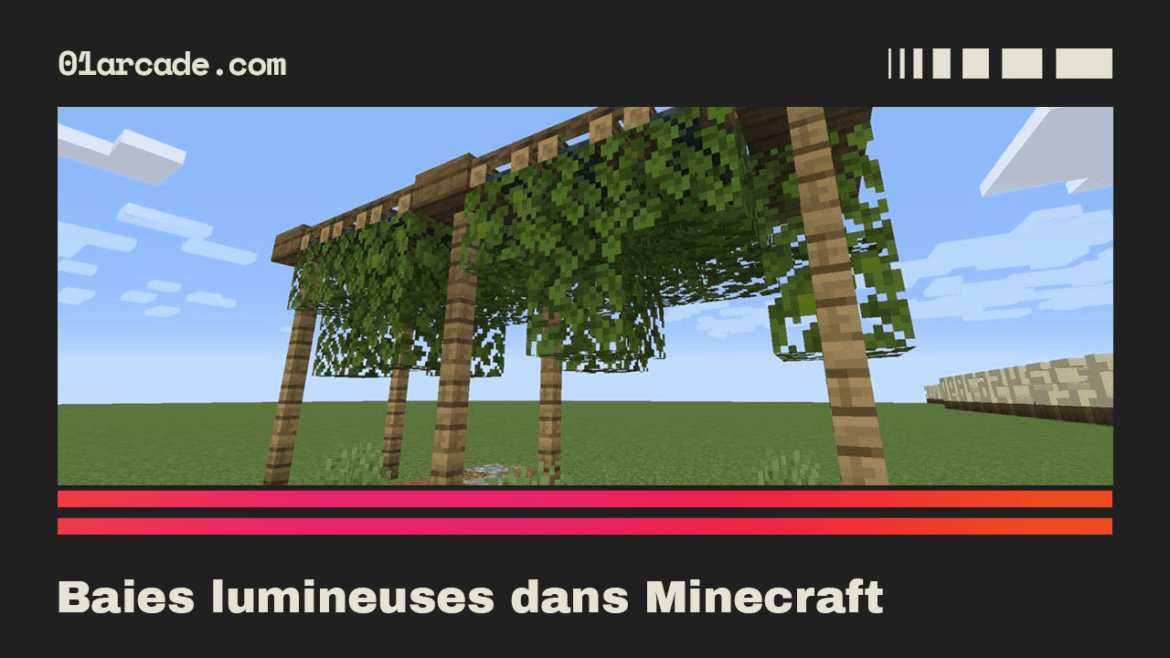 Baies lumineuses dans Minecraft