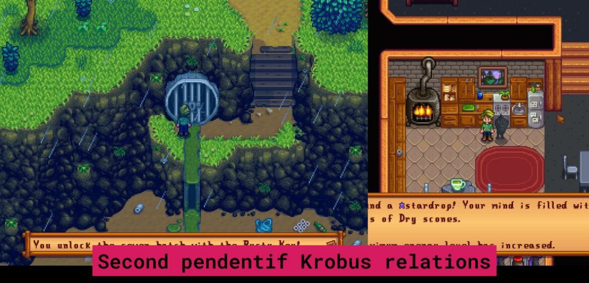how-does-krobus-become-your-roommate-stardew-valley