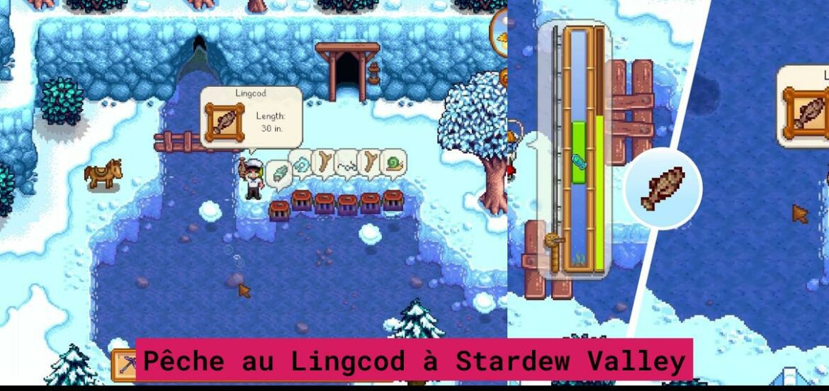 lingcod-stardew-valley