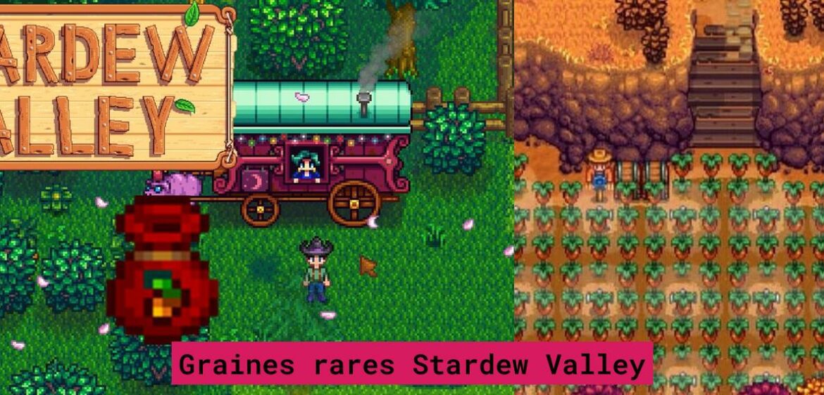 Quand semer les graines rares dans Stardew Valley ? 01Arcade Jeux Vidéo, Consoles & Rétrogaming