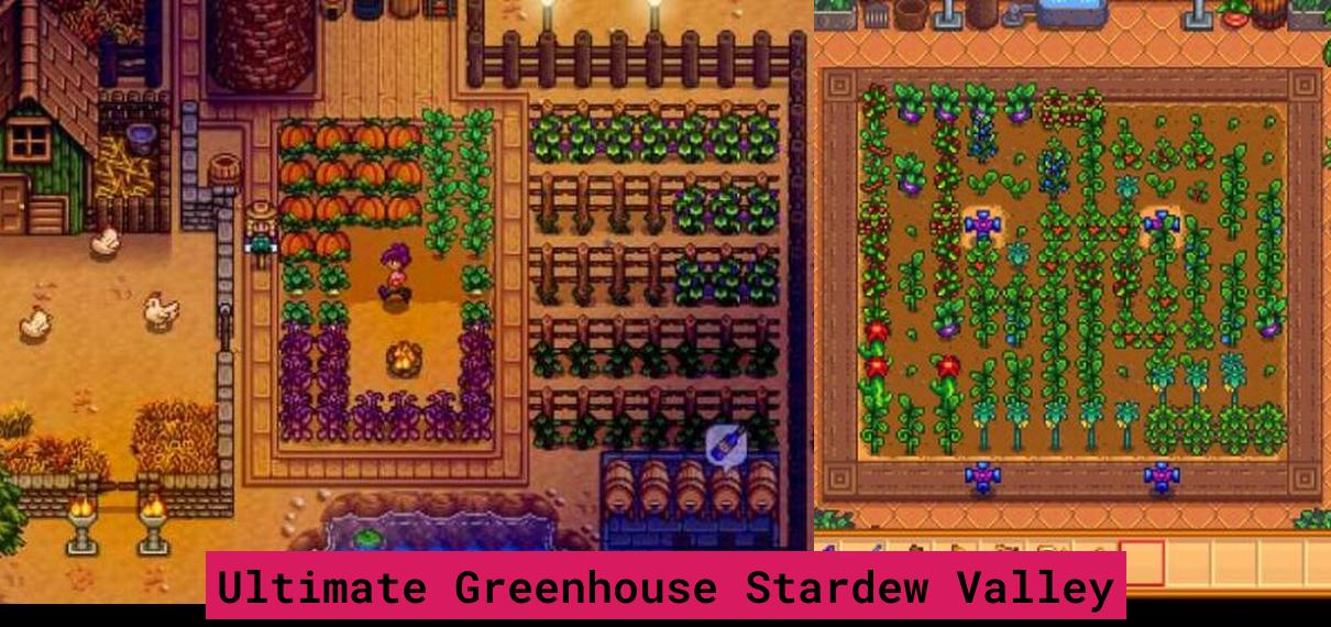 Guide complet de la serre ultime dans Stardew Valley 01Arcade Jeux Vidéo, Consoles & Rétrogaming