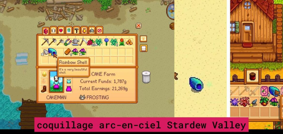 Un Guide Complet pour Trouver la Coquille Arcenciel pour Haley dans Stardew Valley 01Arcade