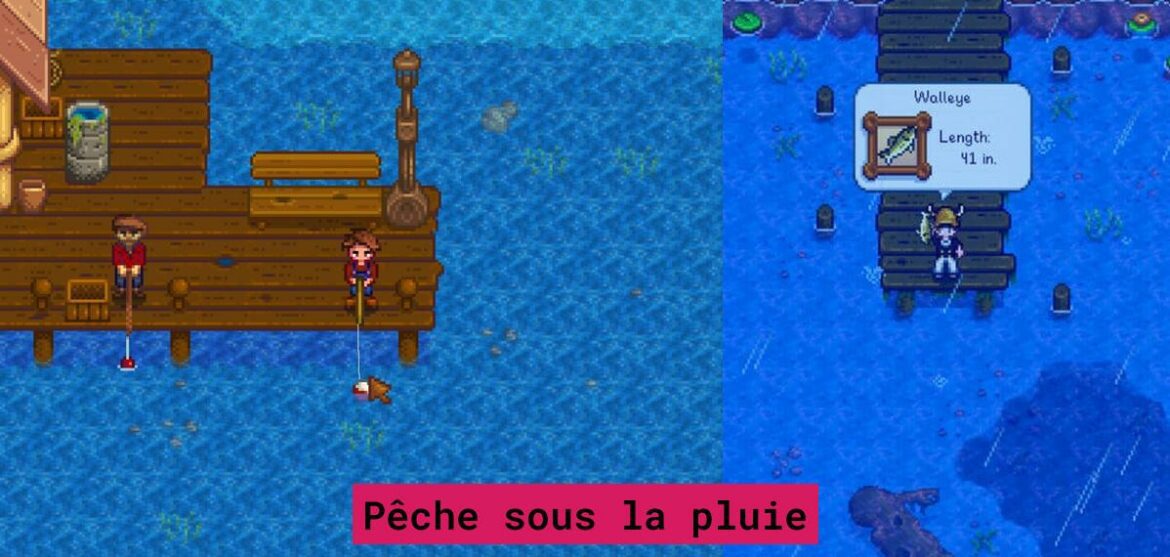 walleye-help-stardew-valley