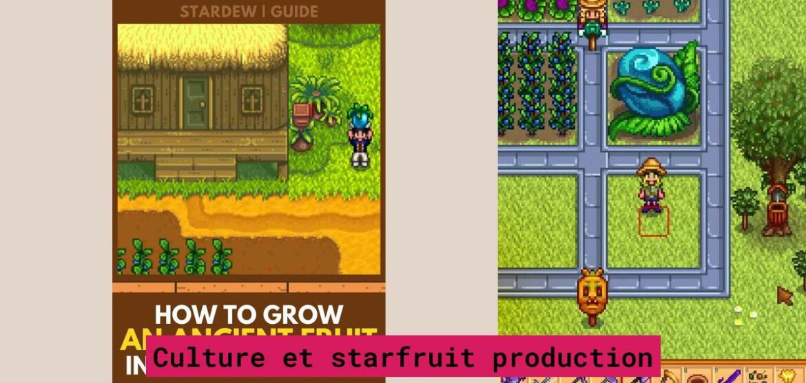 which-one-is-better-ancient-fruit-or-star-fruit-to-earn-money-stardew-valley