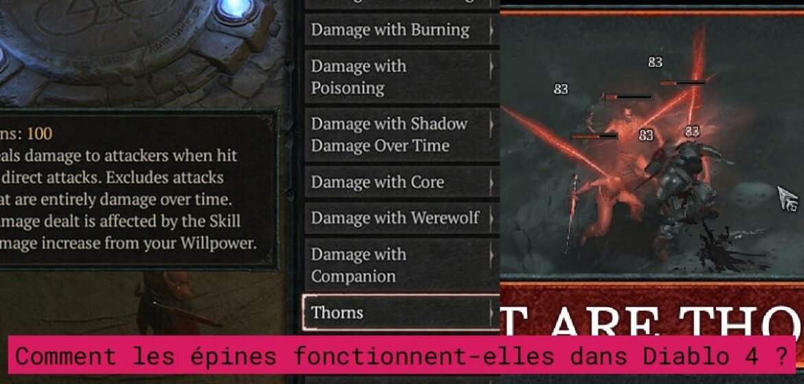 how-thorns-work-diablo-4