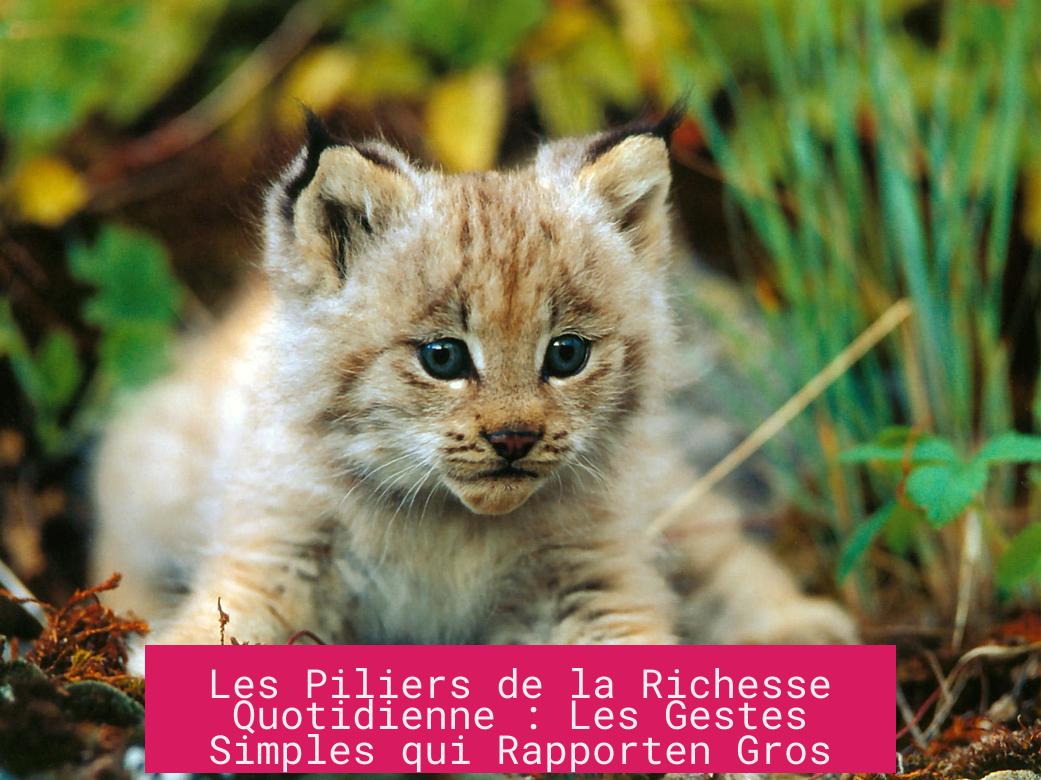 Les Piliers de la Richesse Quotidienne : Les Gestes Simples qui Rapporten Gros