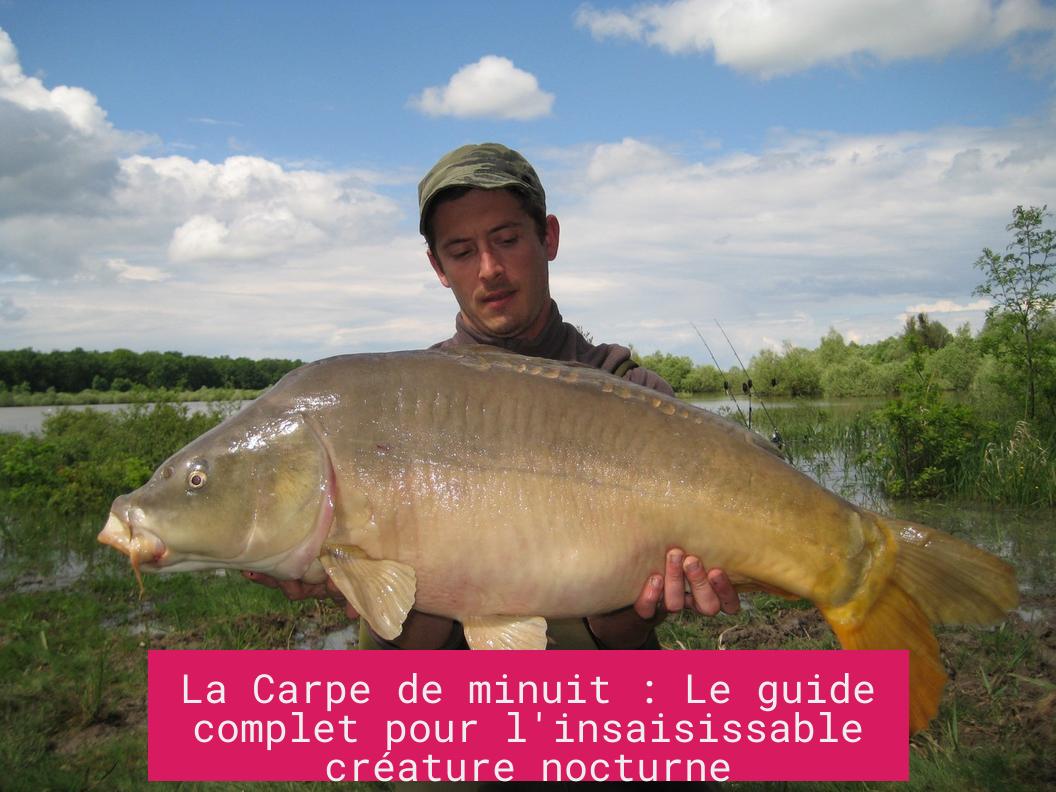 La Carpe de minuit : Le guide complet pour l'insaisissable créature nocturne