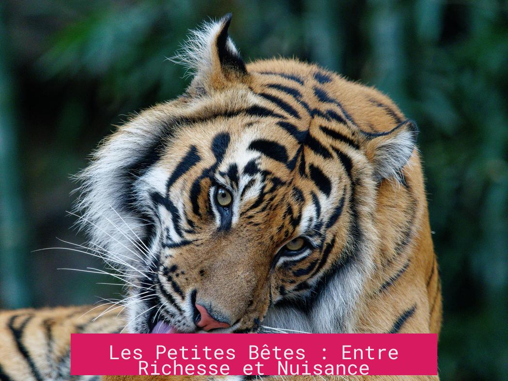 Les Petites Bêtes : Entre Richesse et Nuisance