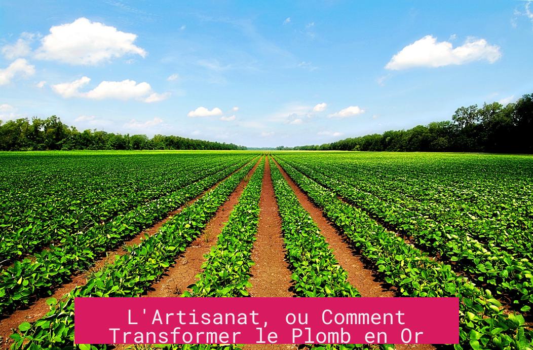 L'Artisanat, ou Comment Transformer le Plomb en Or