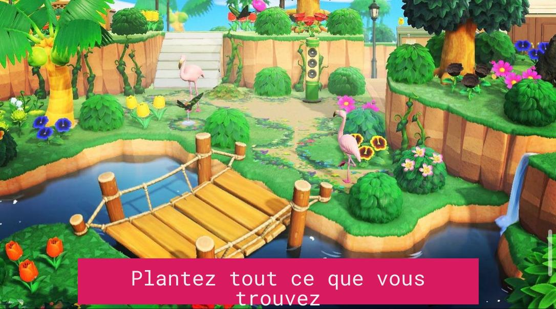 Plantez tout ce que vous trouvez