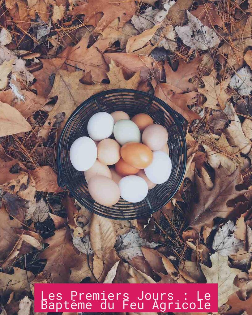 Les Premiers Jours : Le Baptême du Feu Agricole