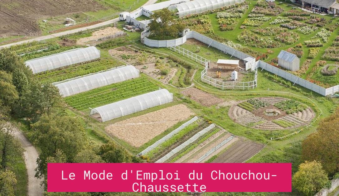 Le Mode d'Emploi du Chouchou-Chaussette