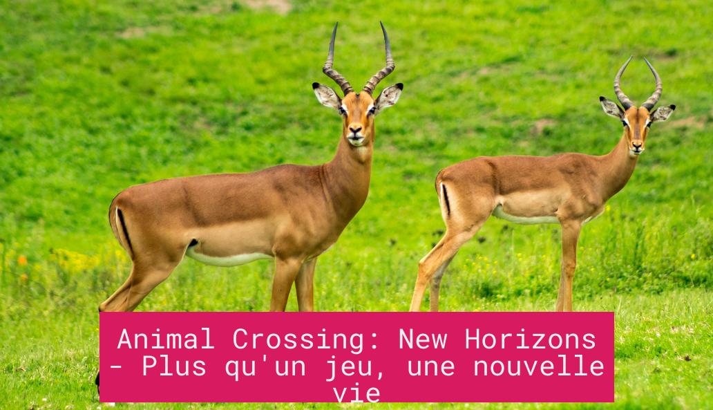 Animal Crossing: New Horizons - Plus qu'un jeu, une nouvelle vie
