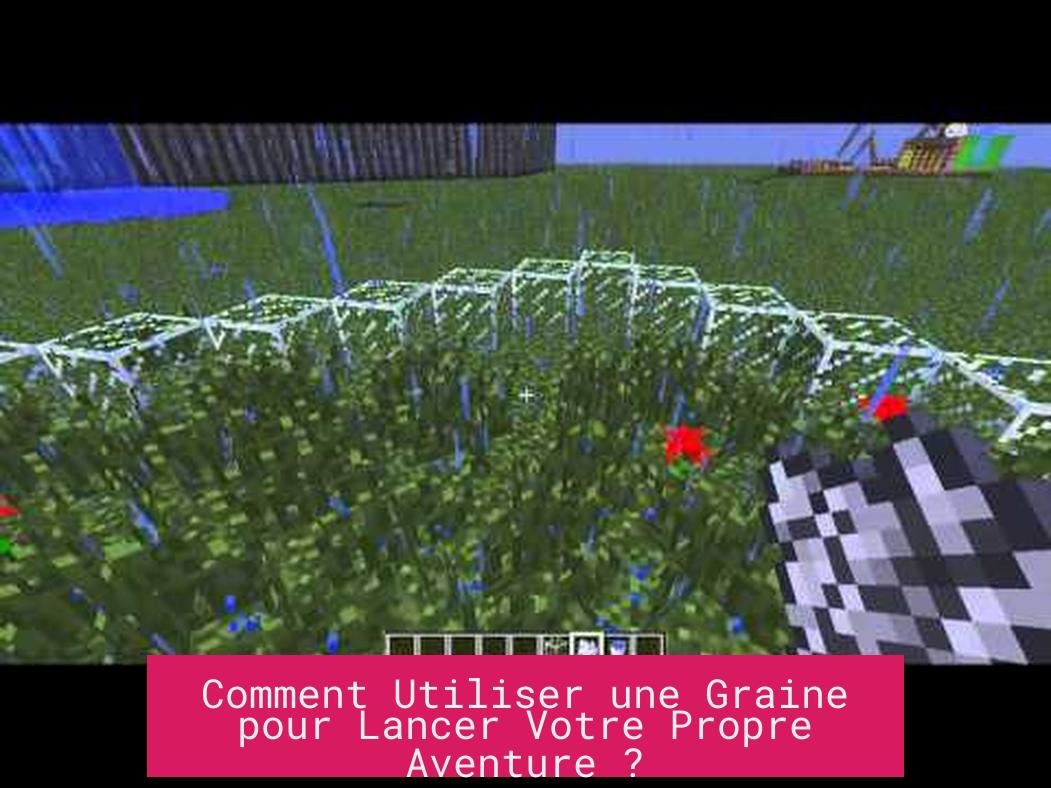 Comment Utiliser une Graine pour Lancer Votre Propre Aventure ?