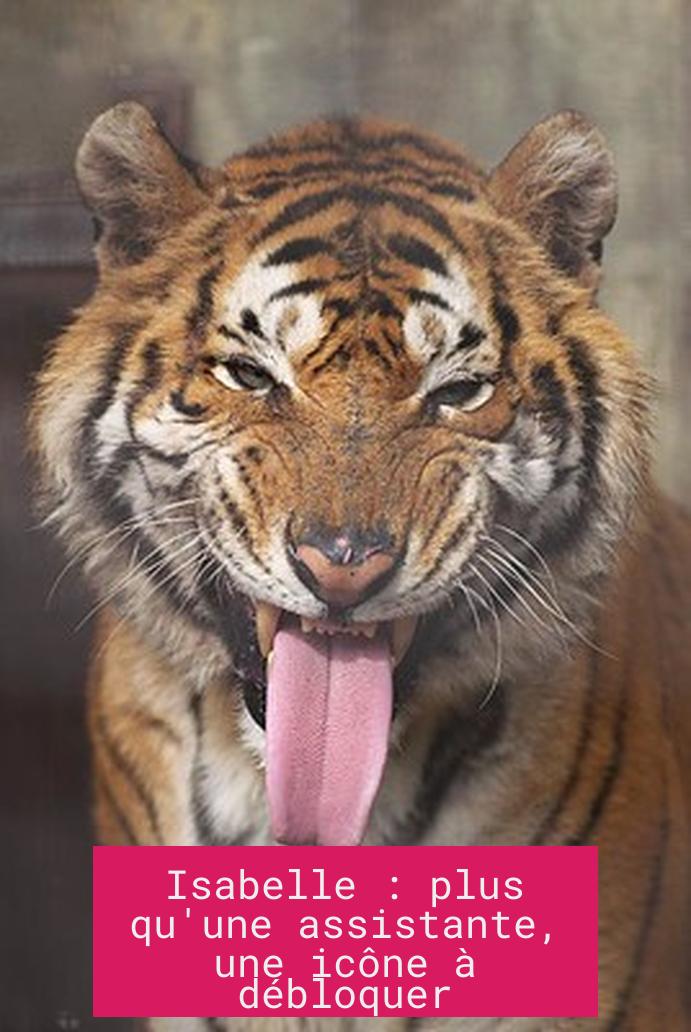 Isabelle : plus qu'une assistante, une icône à débloquer