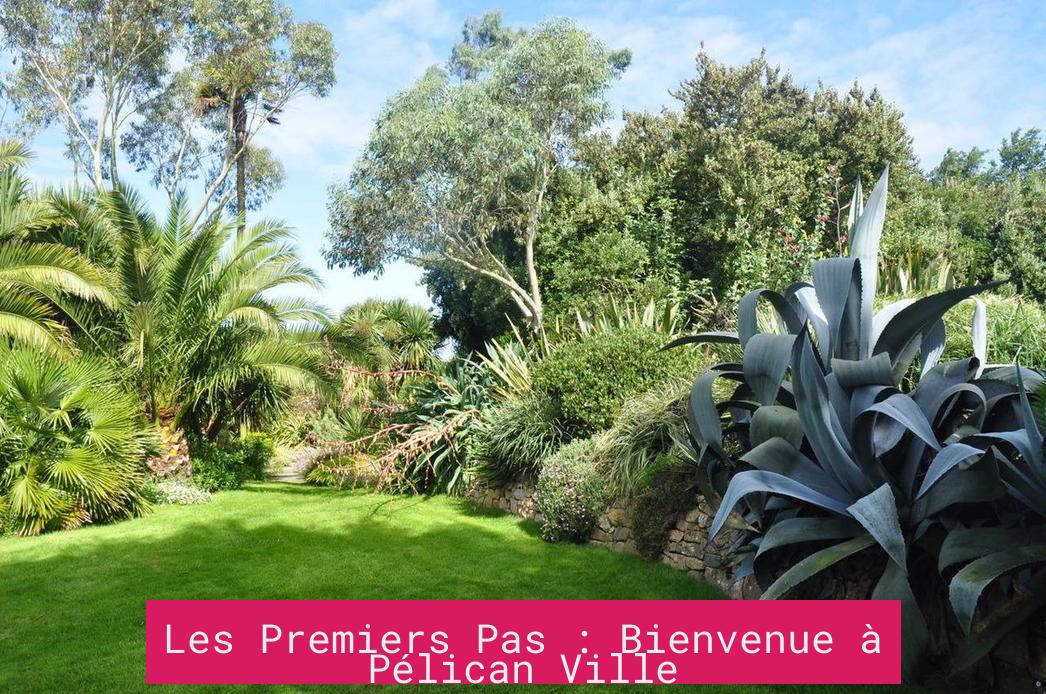 Les Premiers Pas : Bienvenue à Pélican Ville