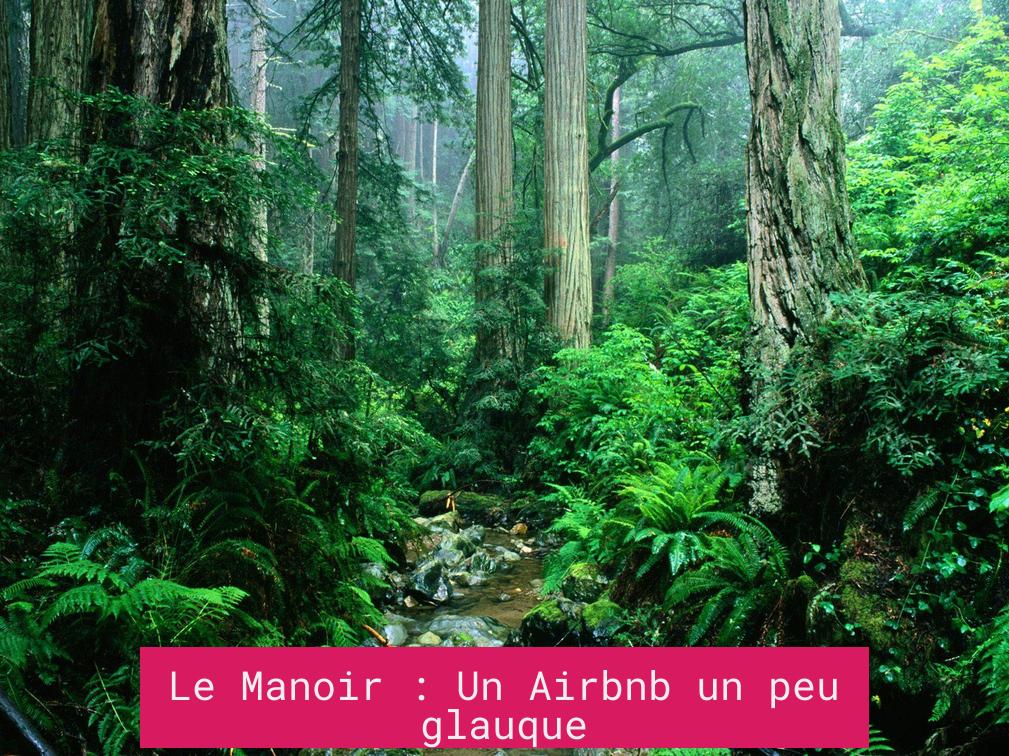 Le Manoir : Un Airbnb un peu glauque