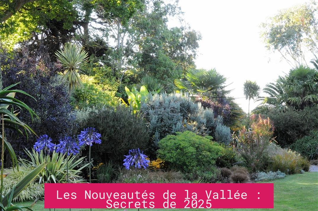 Les Nouveautés de la Vallée : Secrets de 2025