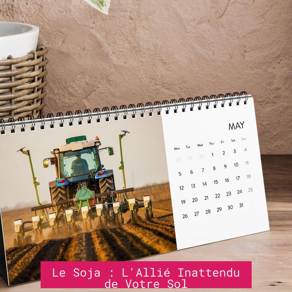 Le Soja : L'Allié Inattendu de Votre Sol