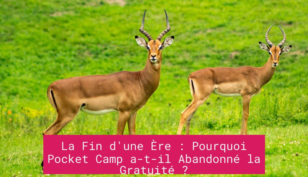 La Fin d'une Ère : Pourquoi Pocket Camp a-t-il Abandonné la Gratuité ?