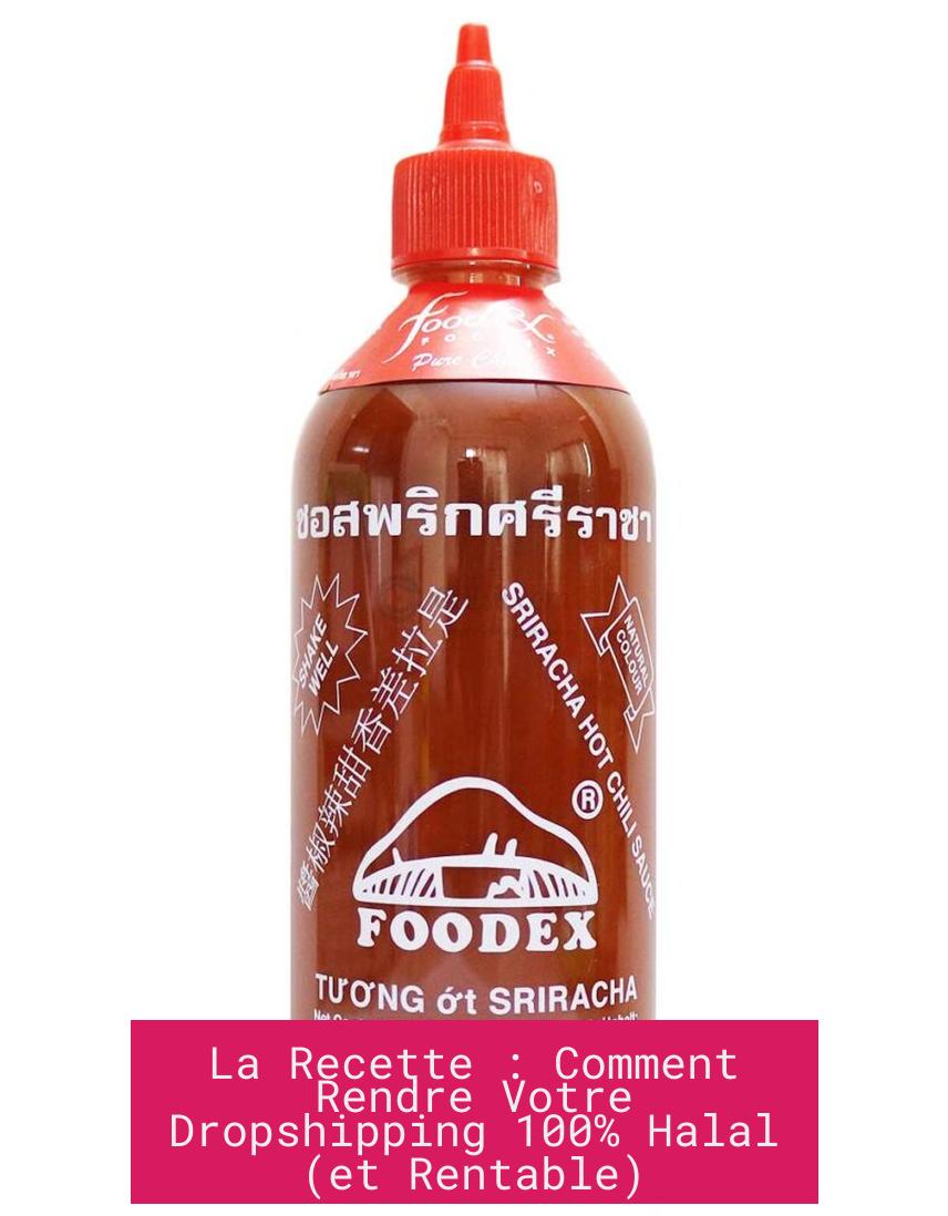 La Recette : Comment Rendre Votre Dropshipping 100% Halal (et Rentable)