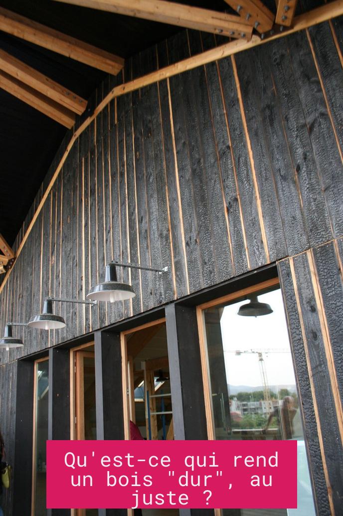 Qu'est-ce qui rend un bois "dur", au juste ?
