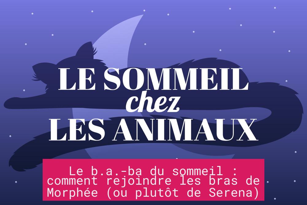 Le b.a.-ba du sommeil : comment rejoindre les bras de Morphée (ou plutôt de Serena)