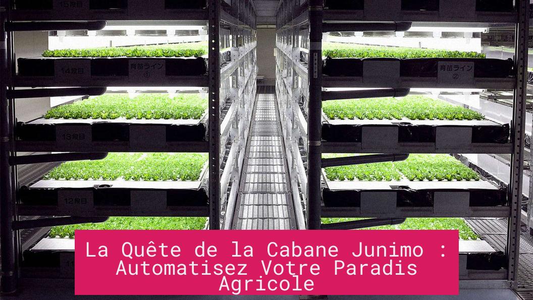 La Quête de la Cabane Junimo : Automatisez Votre Paradis Agricole