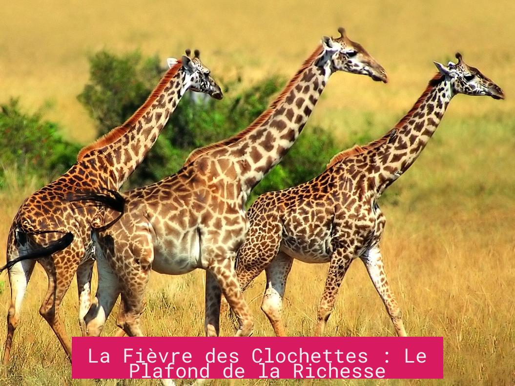 La Fièvre des Clochettes : Le Plafond de la Richesse