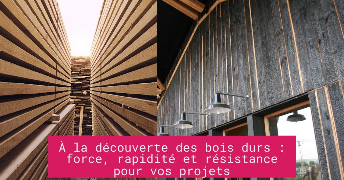 a_la_decouverte_des_bois_durs_force_rapidite_et_resistance_pour_vos_projets À la découverte des bois durs : force, rapidité et résistance pour vos projets
