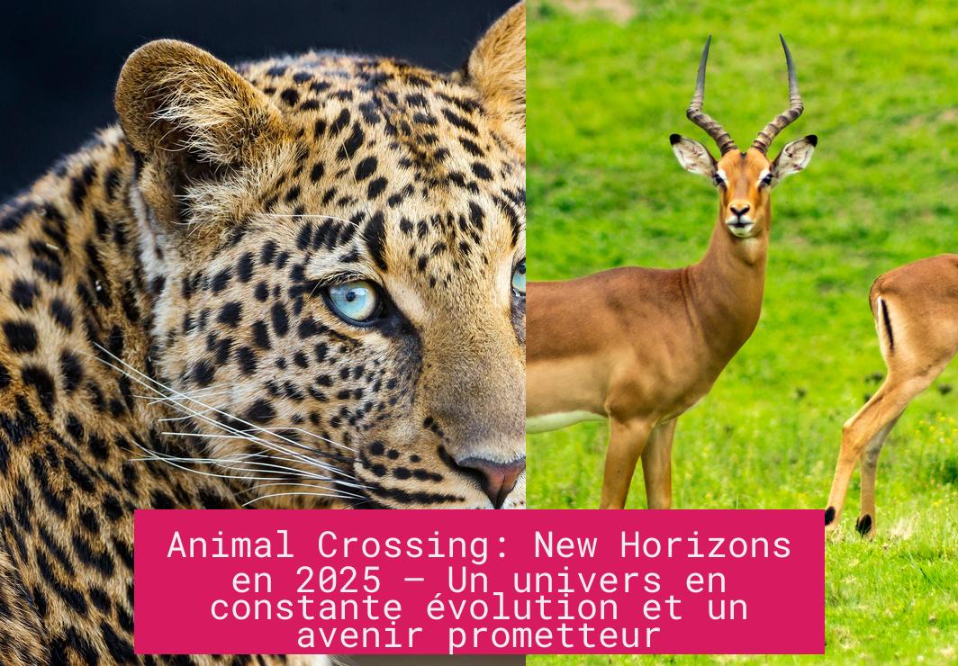Animal Crossing: New Horizons en 2025 – Un univers en constante évolution et un avenir prometteur