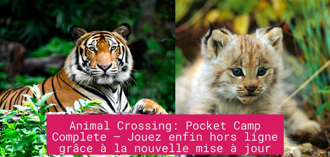 Animal Crossing: Pocket Camp Complete – Jouez enfin hors ligne grâce à la nouvelle mise à jour