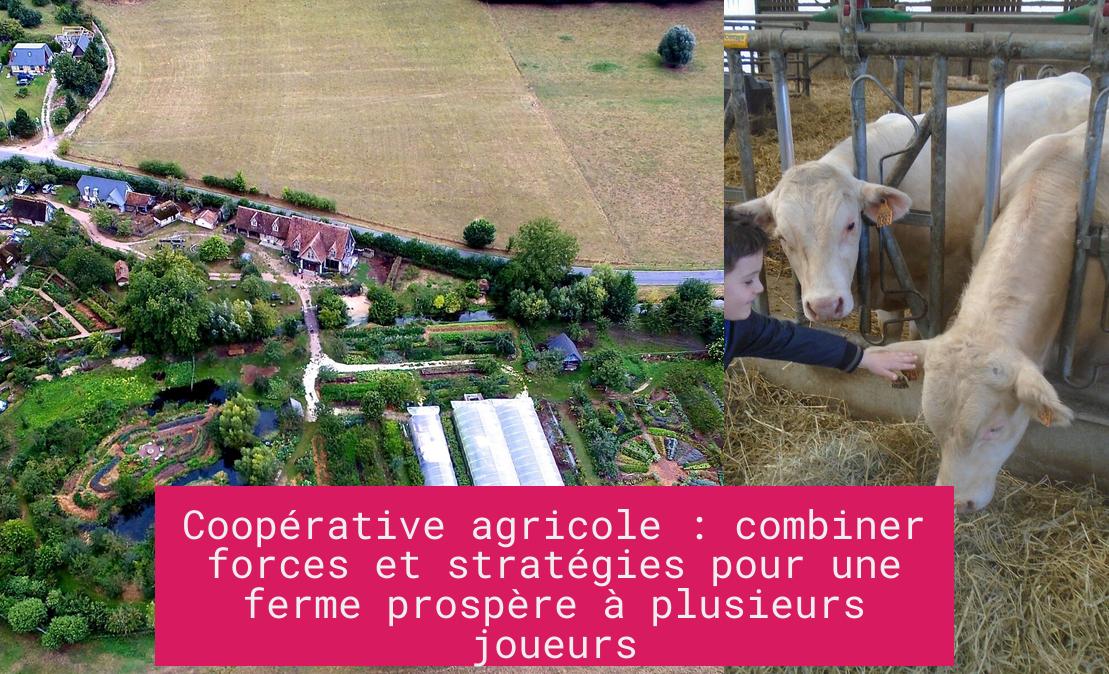 Coopérative agricole : combiner forces et stratégies pour une ferme prospère à plusieurs joueurs