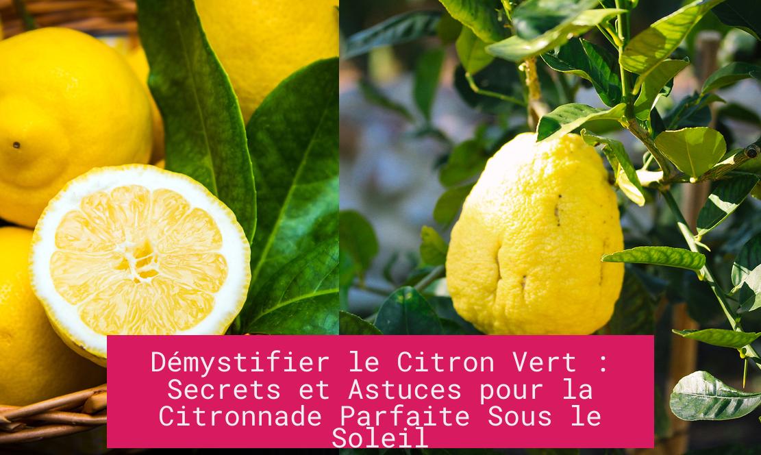 demystifier_le_citron_vert_secrets_et_astuces_pour_la_citronnade_parfaite_sous_le_soleil Démystifier le Citron Vert : Secrets et Astuces pour la Citronnade Parfaite Sous le Soleil