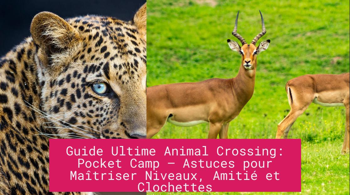 Guide Ultime Animal Crossing: Pocket Camp – Astuces pour Maîtriser Niveaux, Amitié et Clochettes