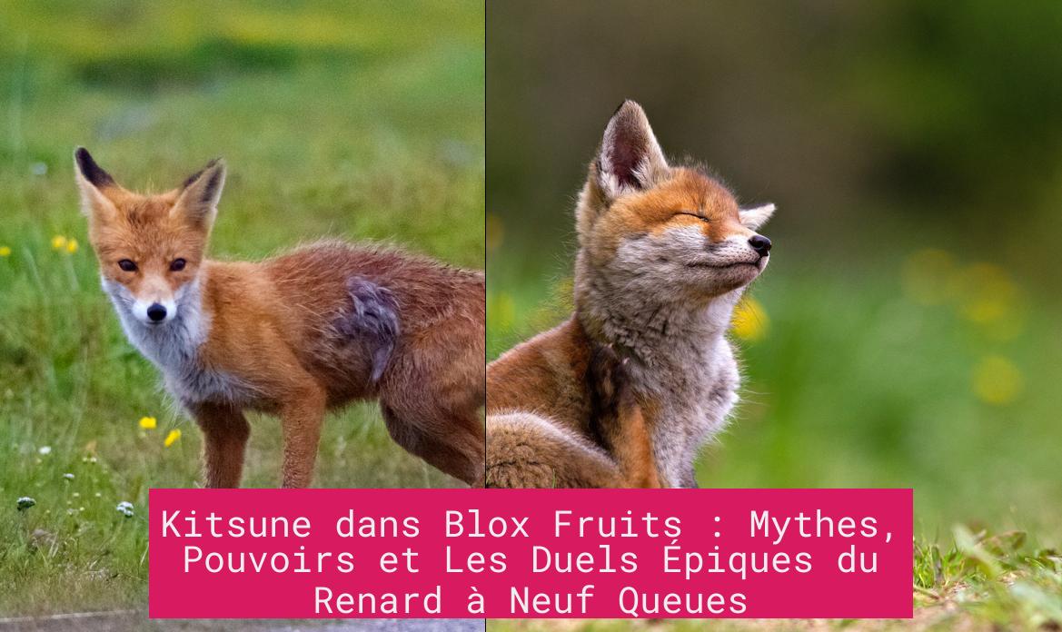 Kitsune dans Blox Fruits : Mythes, Pouvoirs et Les Duels Épiques du Renard à Neuf Queues