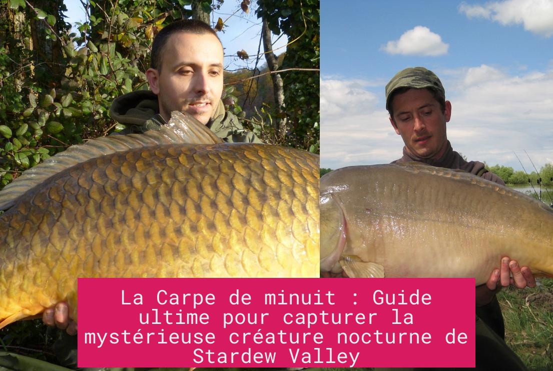 La Carpe de minuit : Guide ultime pour capturer la mystérieuse créature nocturne de Stardew Valley