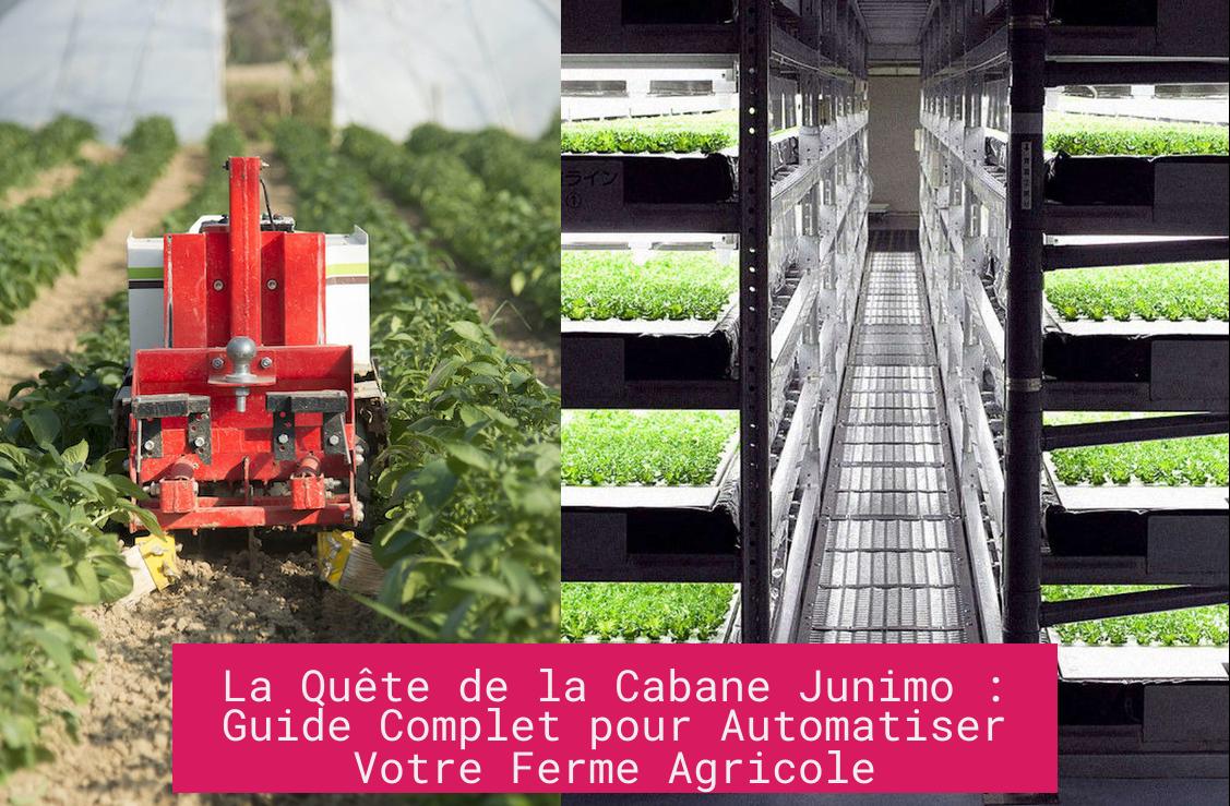 La Quête de la Cabane Junimo : Guide Complet pour Automatiser Votre Ferme Agricole