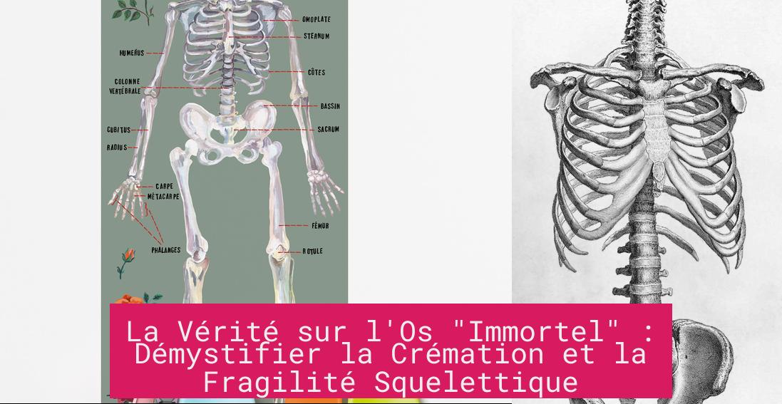 La Vérité sur l'Os "Immortel" : Démystifier la Crémation et la Fragilité Squelettique