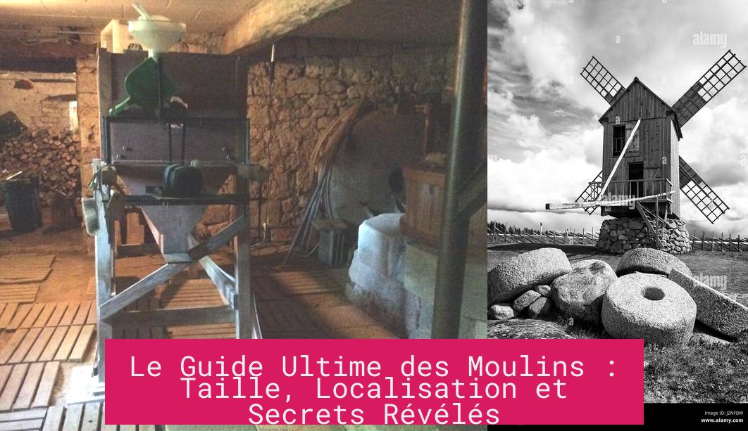 le_guide_ultime_des_moulins_taille_localisation_et_secrets_reveles Le Guide Ultime des Moulins : Taille, Localisation et Secrets Révélés