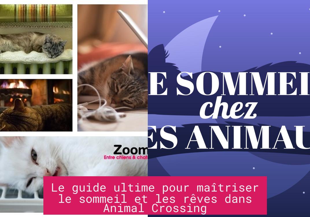 le_guide_ultime_pour_maitriser_le_sommeil_et_les_reves_dans_animal_crossing Le guide ultime pour maîtriser le sommeil et les rêves dans Animal Crossing
