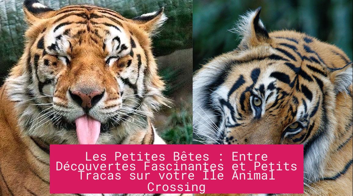 Les Petites Bêtes : Entre Découvertes Fascinantes et Petits Tracas sur votre Île Animal Crossing