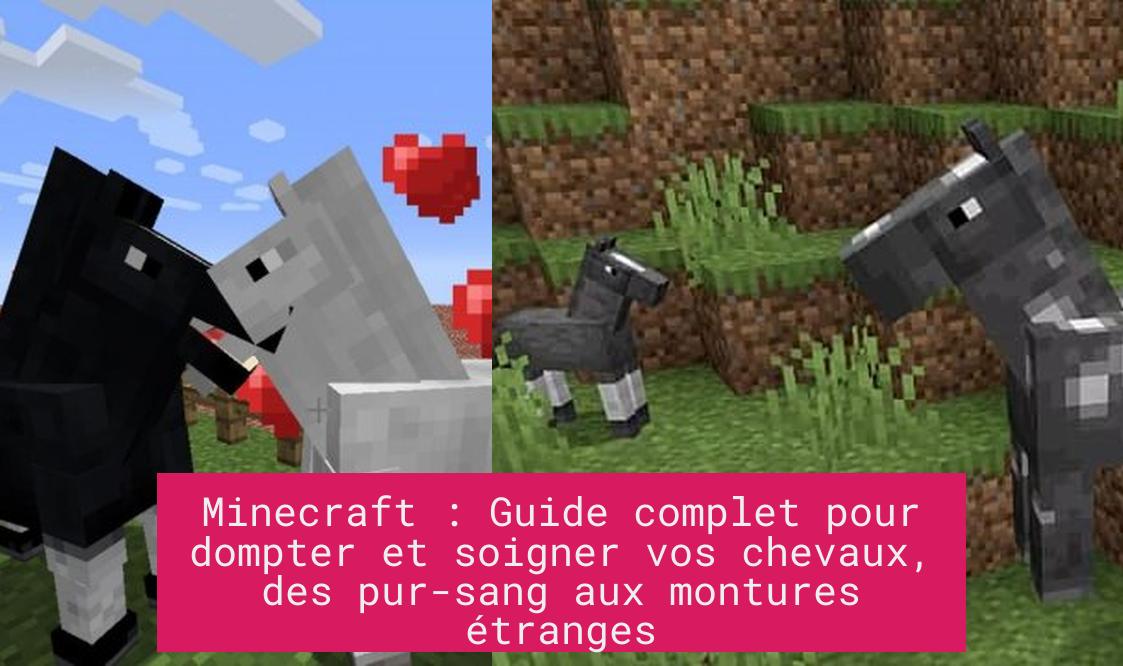 Minecraft : Guide complet pour dompter et soigner vos chevaux, des pur-sang aux montures étranges