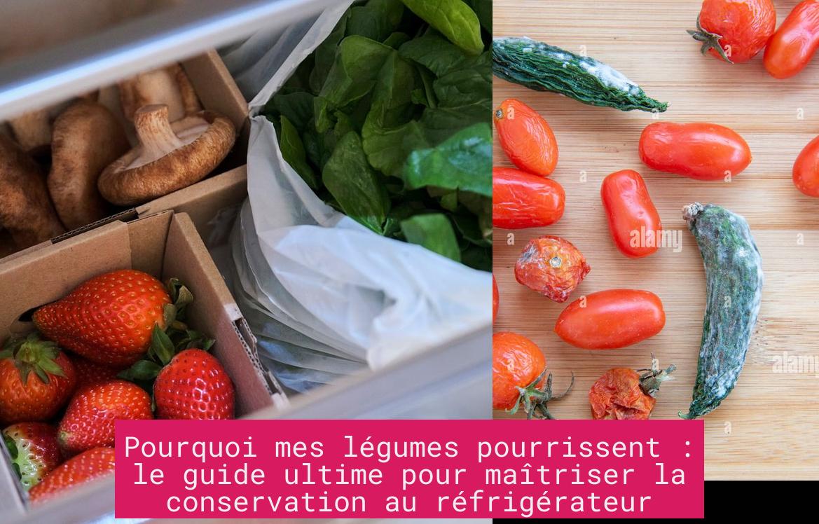 pourquoi_mes_legumes_pourrissent_le_guide_ultime_pour_maitriser_la_conservation_au_refrigerateur Pourquoi mes légumes pourrissent : le guide ultime pour maîtriser la conservation au réfrigérateur